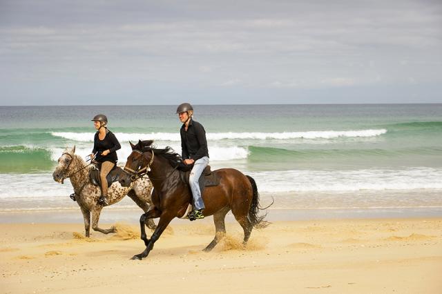 Randonnées à Cheval