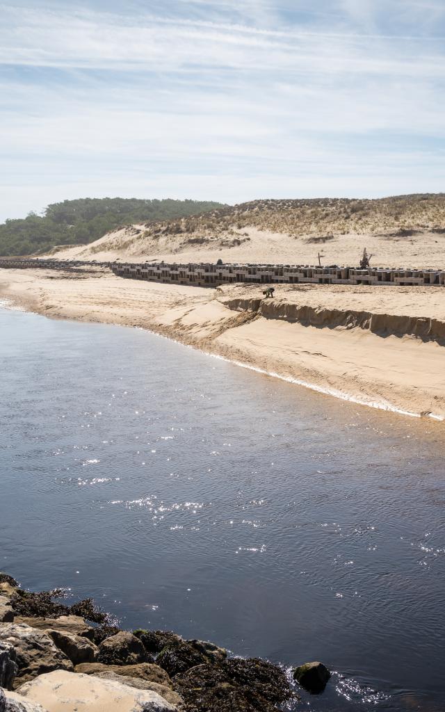 Courant de Contis au petit matin | Côte Landes Nature