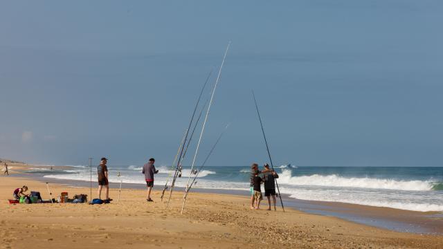 Surf Casting en Côte Landes Nature