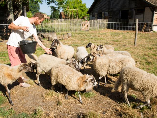 La Ferme Fantastique | Côte Landes Nature Tourisme