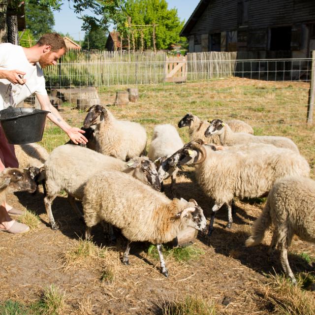 La Ferme Fantastique | Côte Landes Nature Tourisme