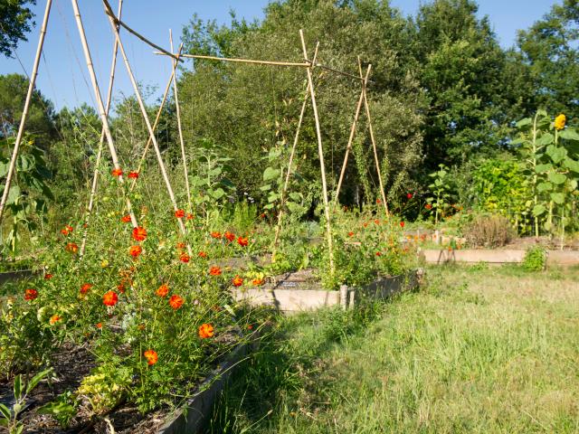 La Ferme Fantastique | Côte Landes Nature Tourisme