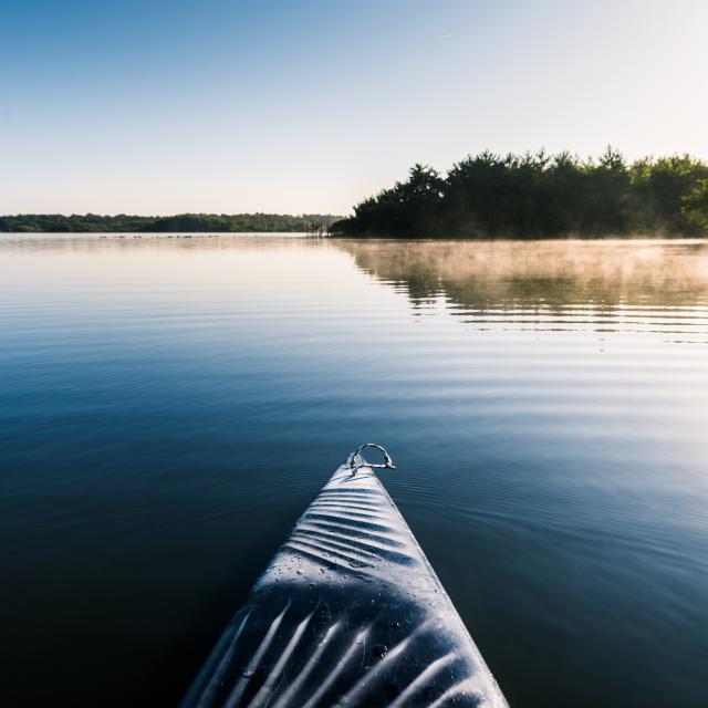 Matin en Paddle sur le Lac de Léon | Côte Landes Nature