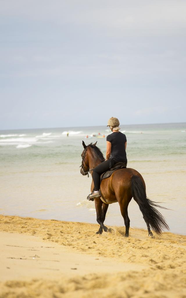 Au galop sur la plage | Côte Landes Nature