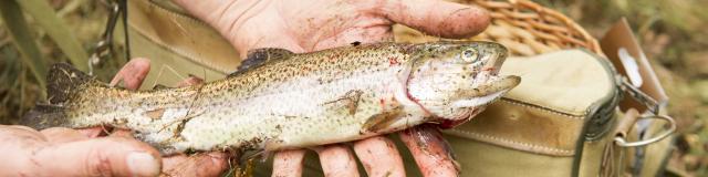 La pêche, plus qu'un loisir un sport/passion | Côte Landes Nature Tourisme