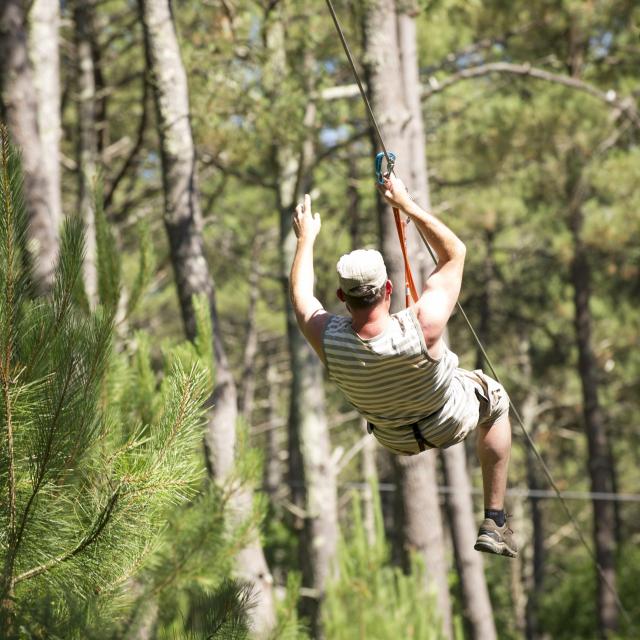 Accrobranche dans les Landes | Côte Landes Nature Tourisme