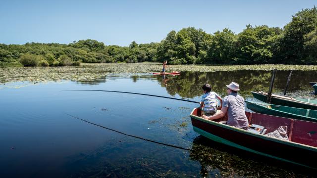 Pêche et Pique Nique Au Lac De Léon | Côte Landes Nature Tourisme