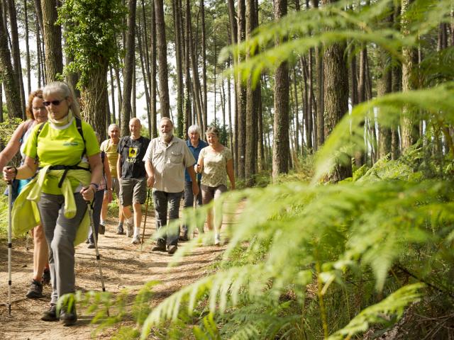 Rando nature à Vielle-St-Girons | Côte Landes Nature Tourisme