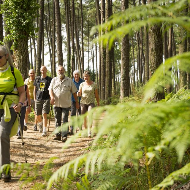 Rando nature à Vielle-St-Girons | Côte Landes Nature Tourisme