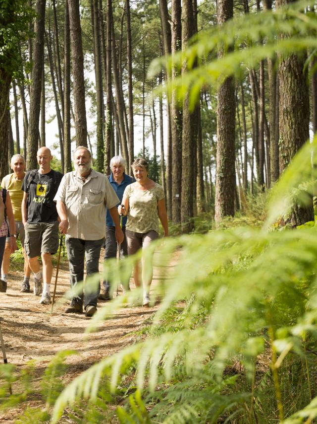 Rando nature à Vielle-St-Girons | Côte Landes Nature Tourisme