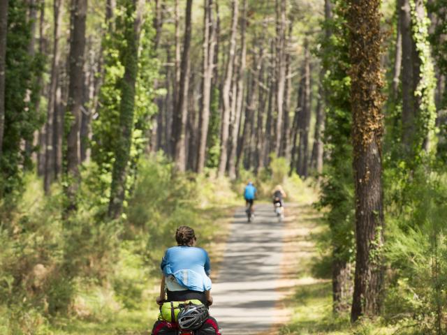 Pistes Cyclables