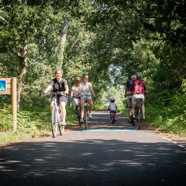 Une balade en vélo à Vielle-St-Girons | Côte Landes Nature Tourisme