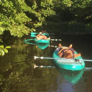 Sup Yoga Allongé | Côte Landes Nature Tourisme