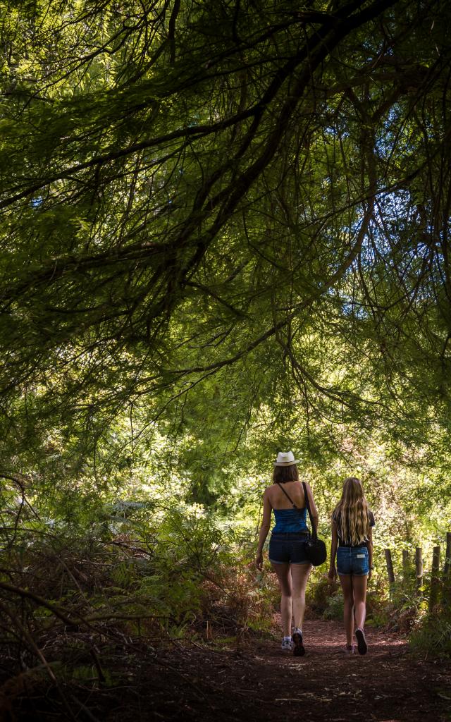 Balade en forêt près du Courant d'Huchet