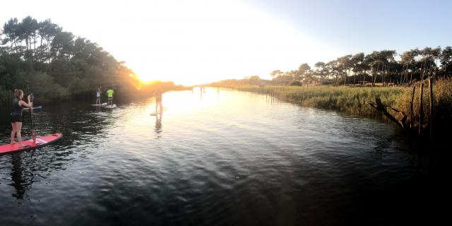 Paddle au Coucher de Soleil | Côte Landes Nature Tourisme