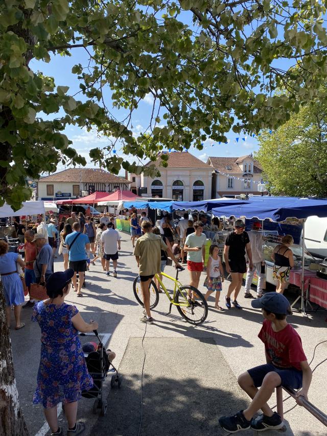 Marché saisonnier à Léon | Côte Landes Nature