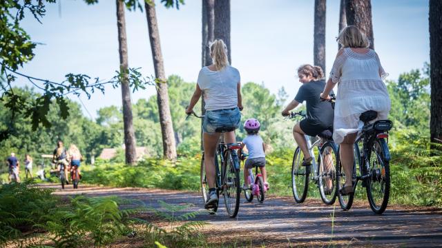 Une balade en vélo à Vielle-St-Girons | Côte Landes Nature Tourisme