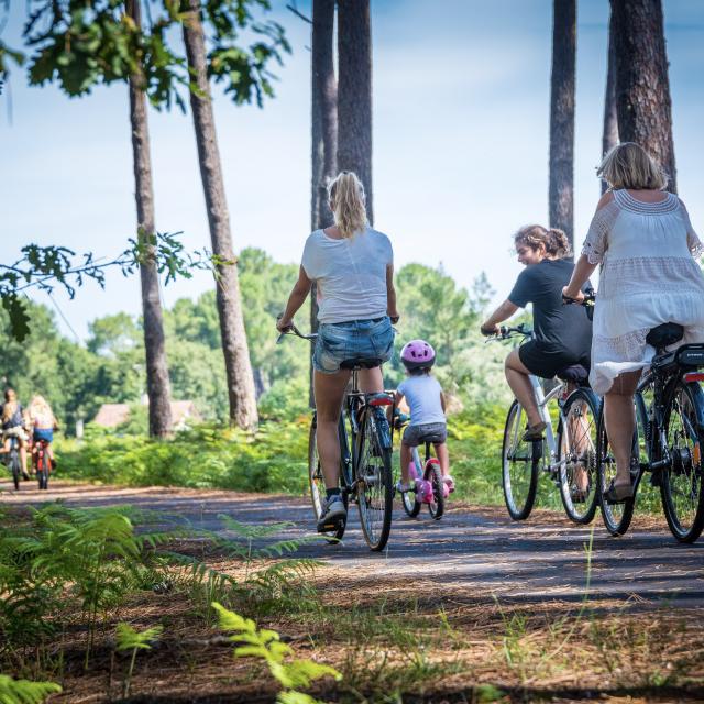 Une balade en vélo à Vielle-St-Girons | Côte Landes Nature Tourisme