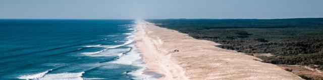 La Lette Blanche | Côte Landes Nature Tourisme