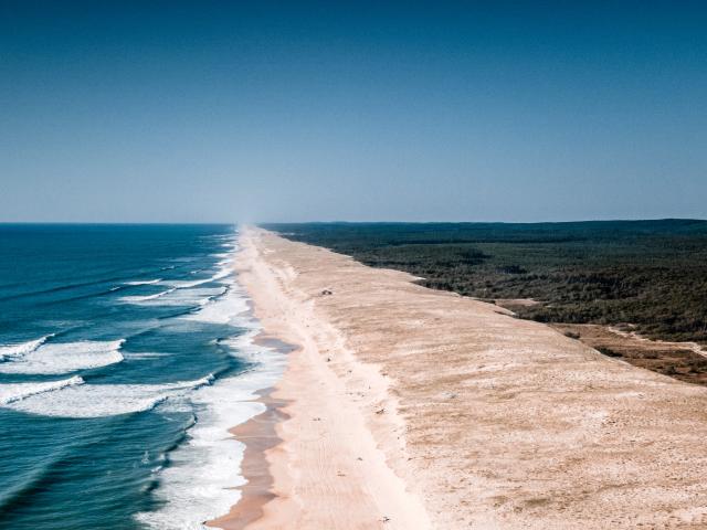 La Lette Blanche | Côte Landes Nature Tourisme