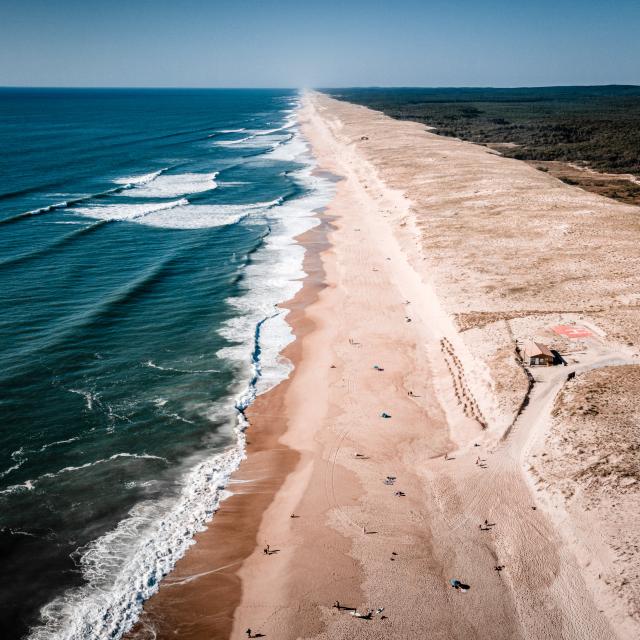 La Lette Blanche | Côte Landes Nature Tourisme