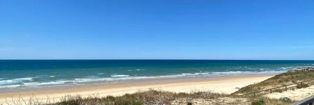 Plage du Cap de l'Homy | Côte Landes Nature Tourisme