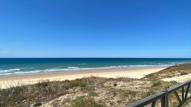 Plage du Cap de l'Homy | Côte Landes Nature Tourisme