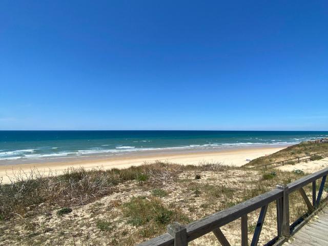 Plage du Cap de l'Homy | Côte Landes Nature Tourisme