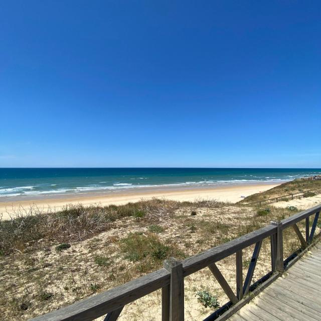 Plage du Cap de l'Homy | Côte Landes Nature Tourisme