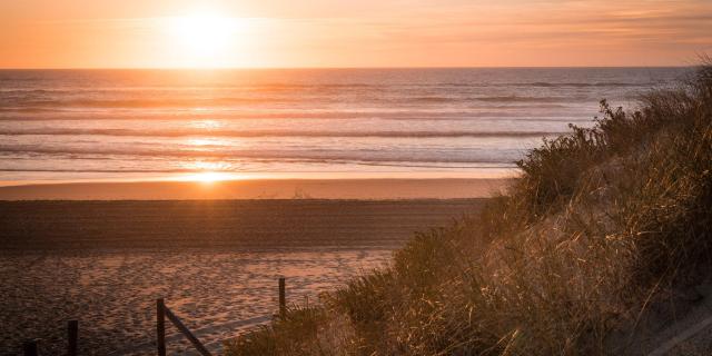 Plage du Cap de l'Homy | Côte Landes Nature Tourisme