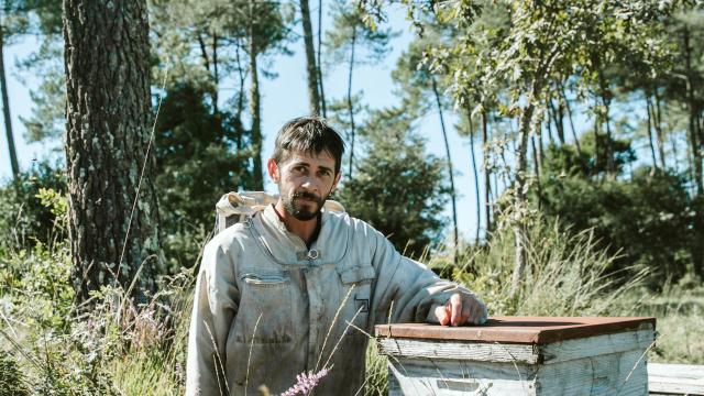 Jeremy Barbasse et ses abeilles noires des Landes