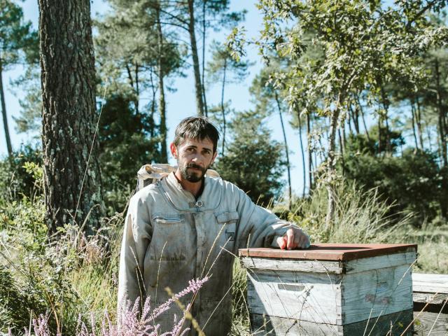 Jeremy Barbasse et ses abeilles noires des Landes