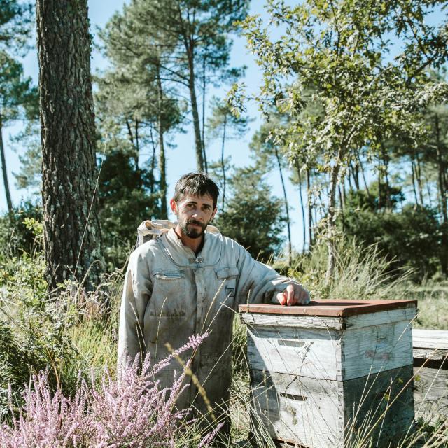 Jeremy Barbasse et ses abeilles noires des Landes