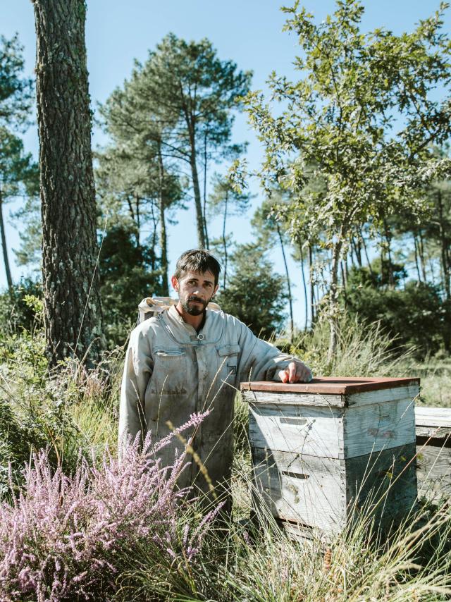 Jeremy Barbasse et ses abeilles noires des Landes