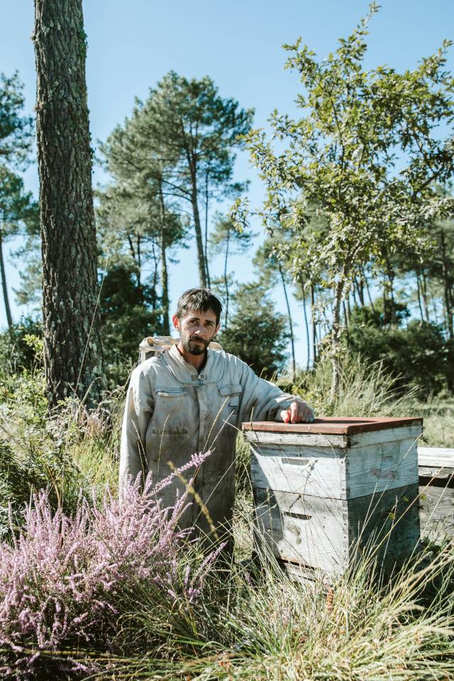 Jeremy Barbasse et ses abeilles noires des Landes