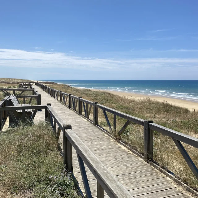 Clnt Lit Et Mixe Plage Du Cap De Lhomy 22