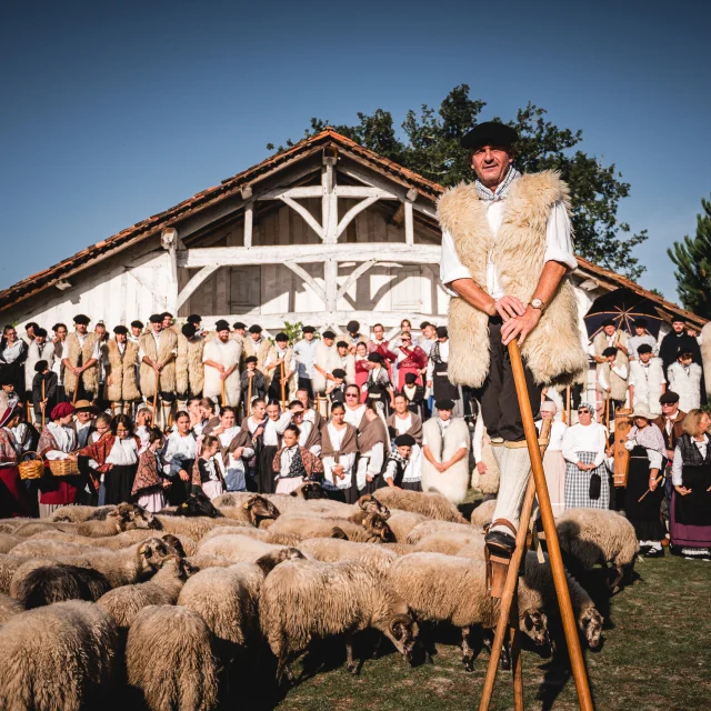 Marquèze, quartier historique des Landes